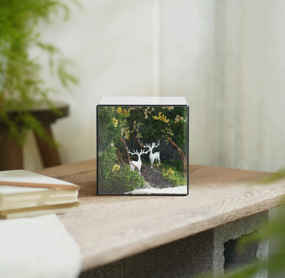 Lil-Cube Dream of Forest (5.9 x 5.9 x 5.9")