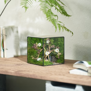 Lil-Cube Roselight (5.9 x 5.9 x 5.9")