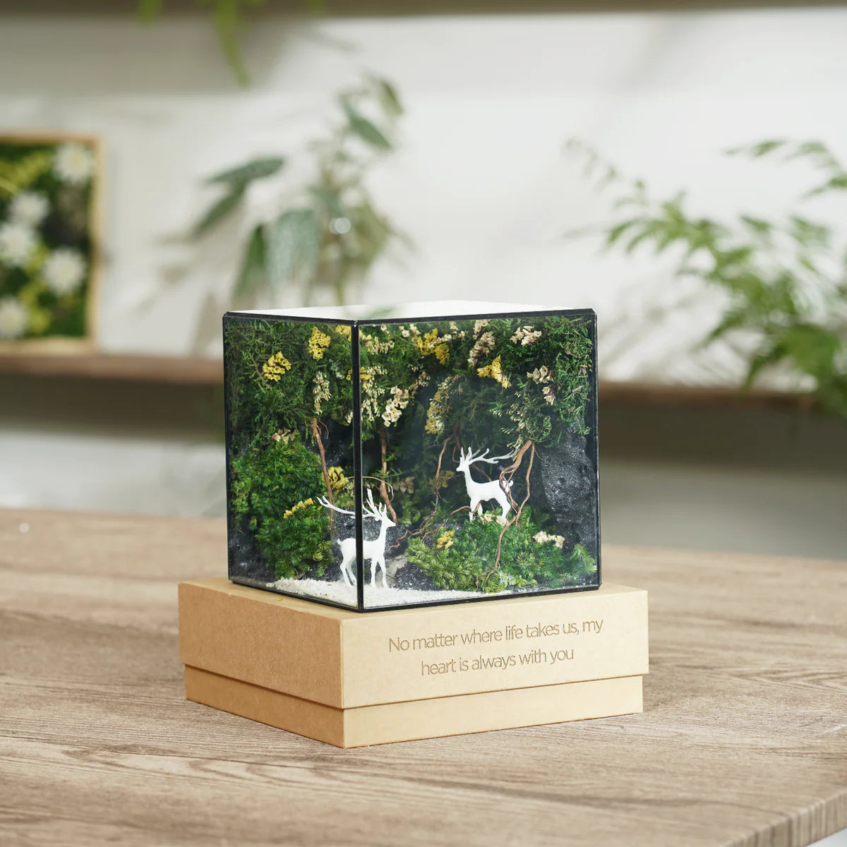 Lil-Cube Dream of Forest (5.9 x 5.9 x 5.9")