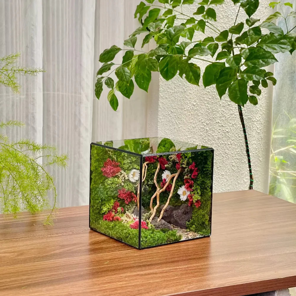 Lil-Cube Everbloom (5.9 x 5.9 x 5.9")