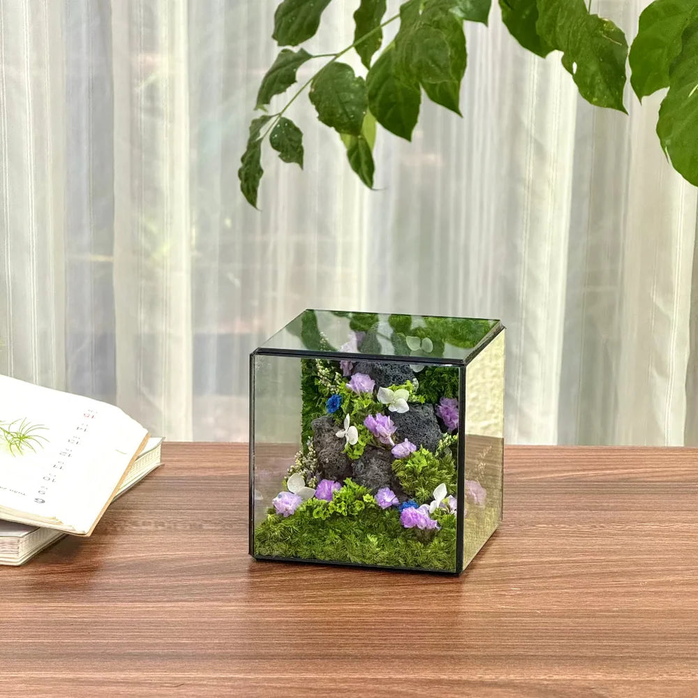 Lil-Cube Spring#1 (3.9 x 3.9 x 3.9")