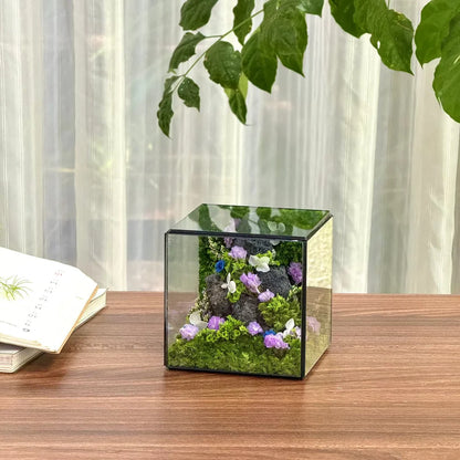 Lil-Cube Spring#1 (3.9 x 3.9 x 3.9")