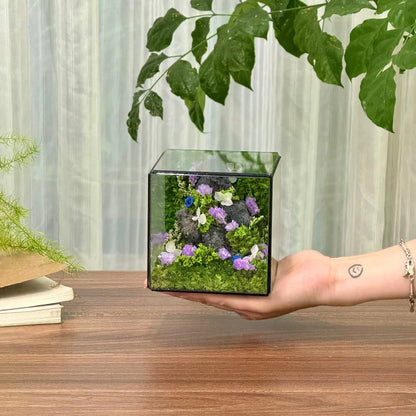 Lil-Cube Spring#1 (3.9 x 3.9 x 3.9")