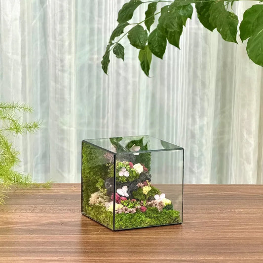 Lil-Cube Spring#2 (3.9 x 3.9 x 3.9")