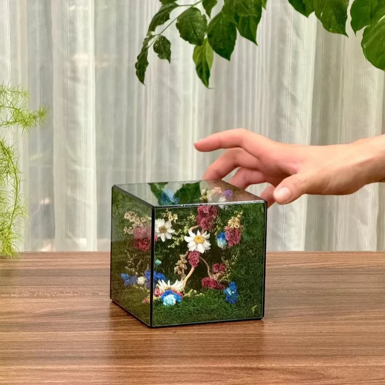 Lil-Cube Dream Wishes (3.9 x 3.9 x 3.9")