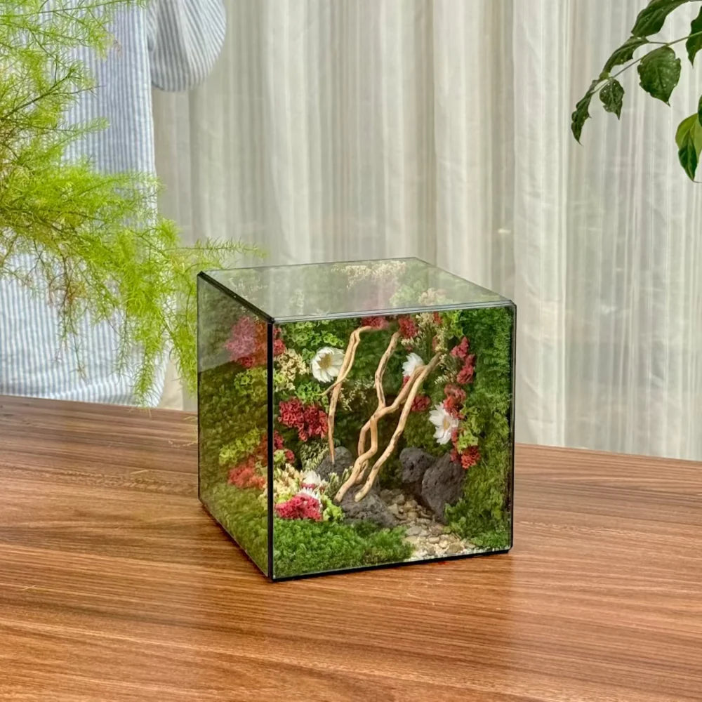 Lil-Cube Everbloom (5.9 x 5.9 x 5.9")