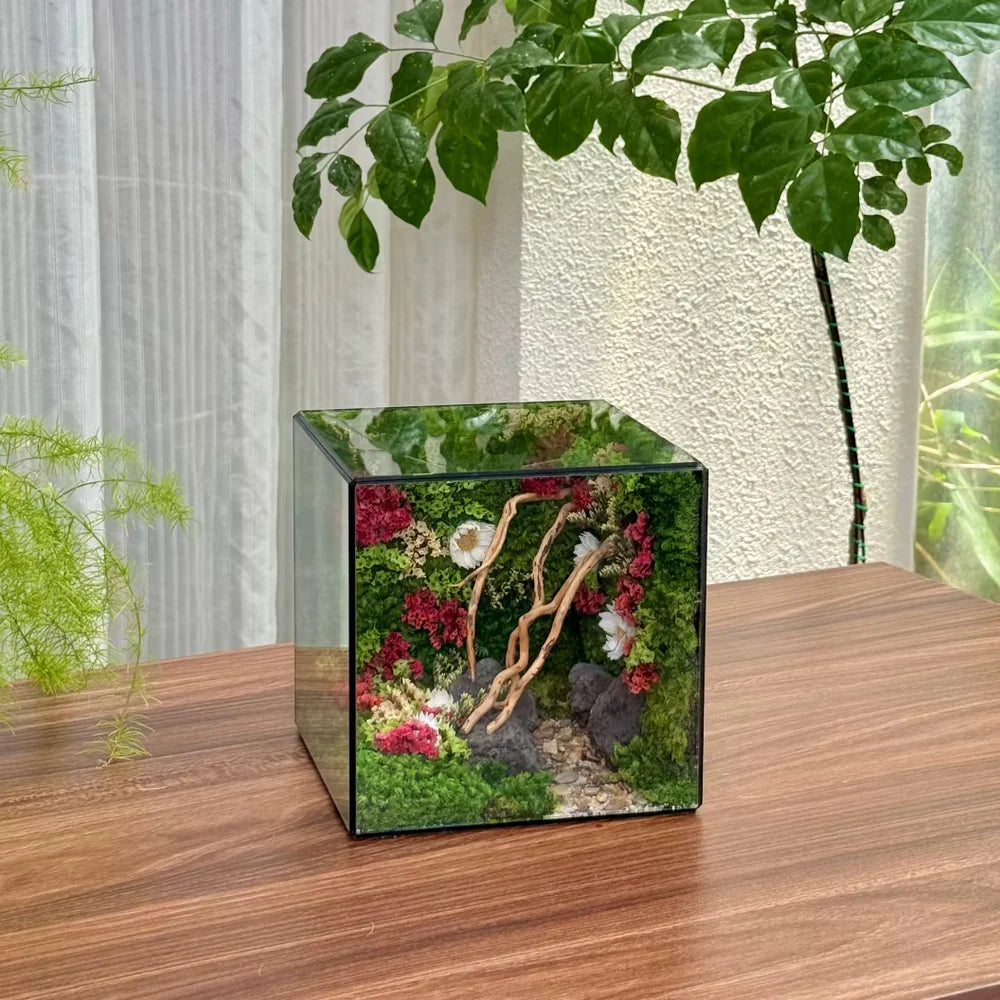 Lil-Cube Everbloom (5.9 x 5.9 x 5.9")