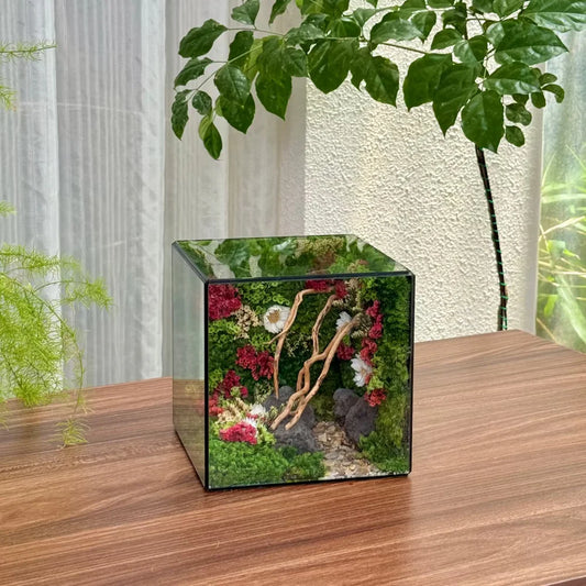 Lil-Cube Everbloom (5.9 x 5.9 x 5.9")