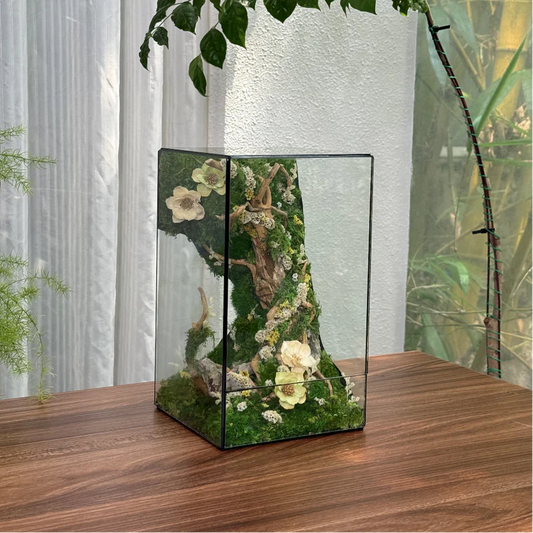 Lilforest - Dream Jungle (5.9x5.9x9.8")