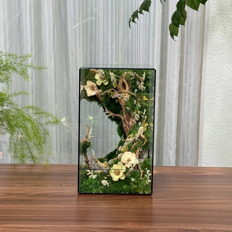 Lilforest - Dream Jungle (5.9x5.9x9.8")